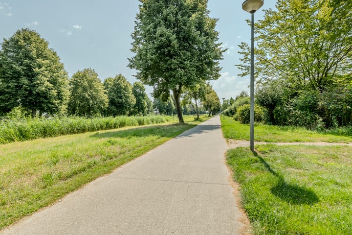 Foto 36 van Speenkruid 126