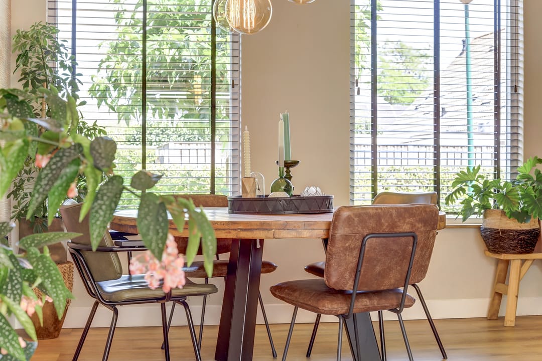 Photo 13 of Gentiaan 6