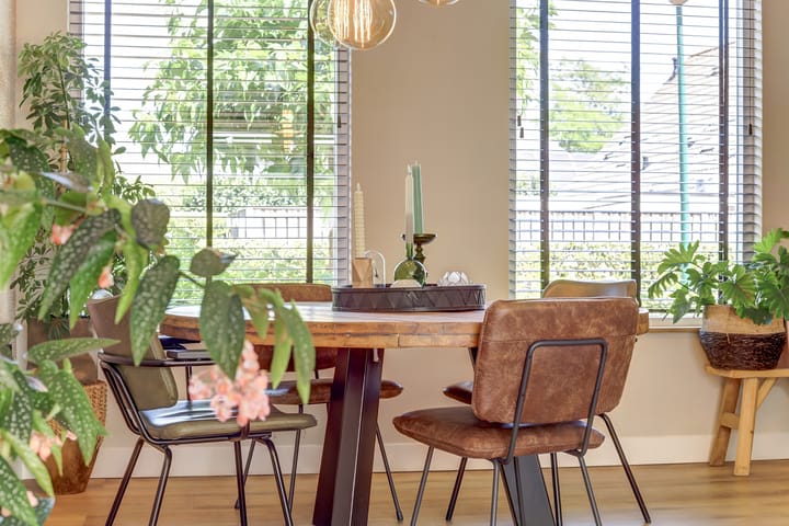 Photo 13 of Gentiaan 6