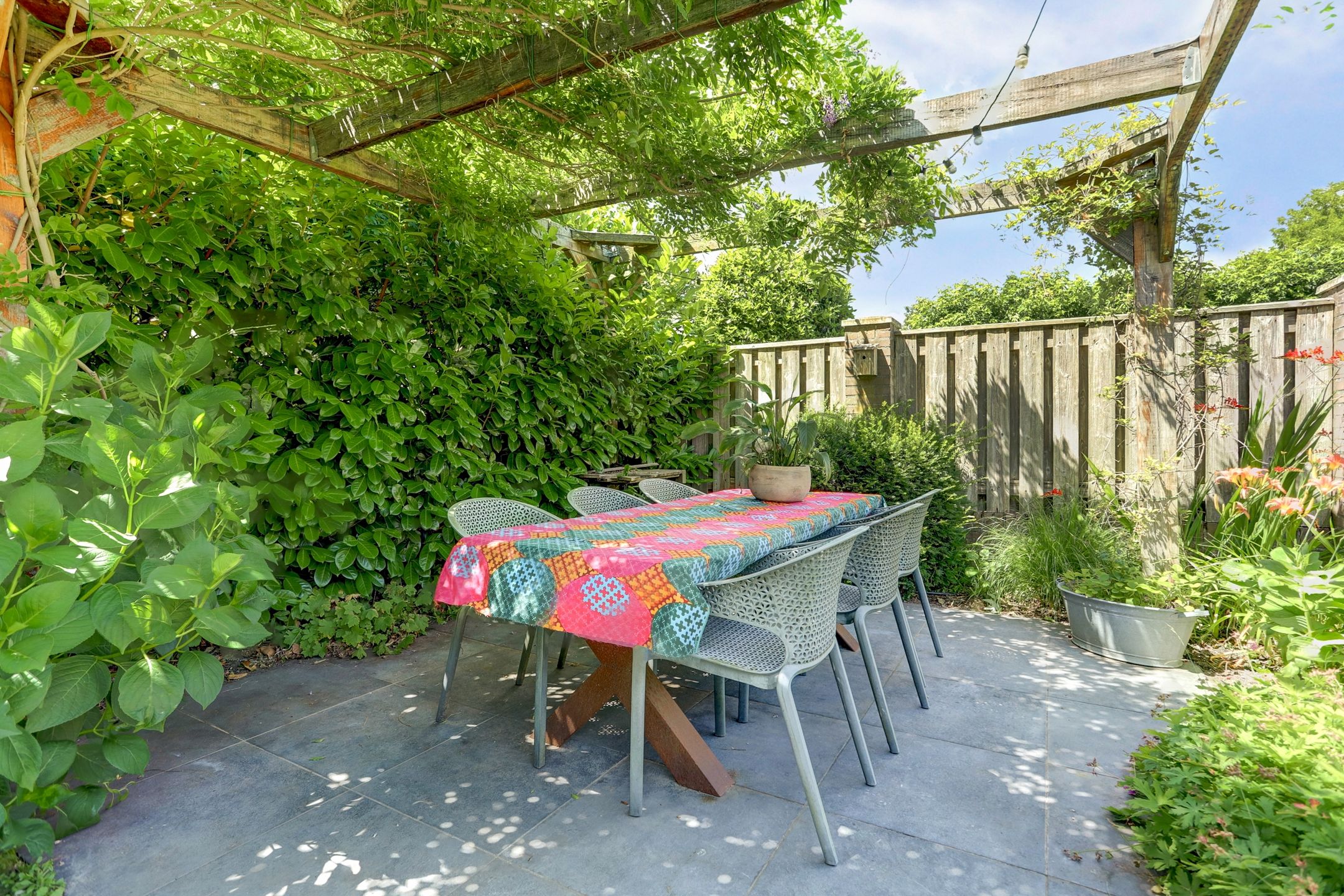 Photo 33 of Gentiaan 6