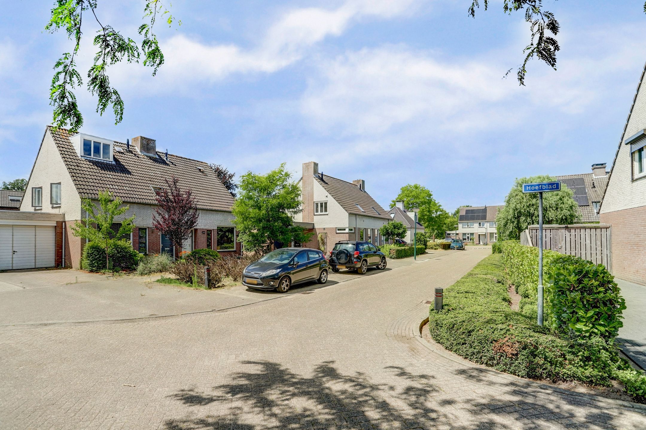 Photo 39 of Gentiaan 6