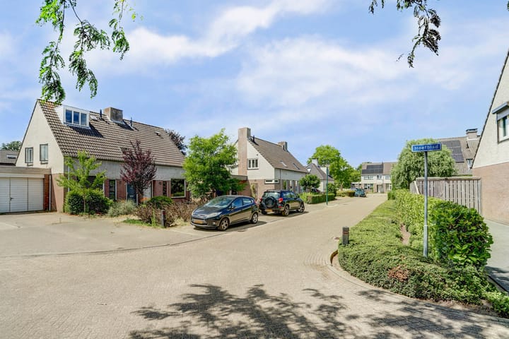 Photo 39 of Gentiaan 6