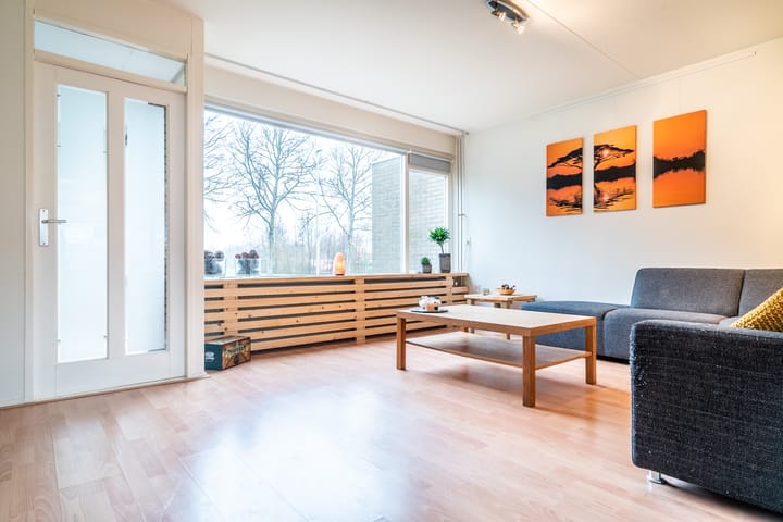 Foto 2 van Jan Jelles Hofleane 99