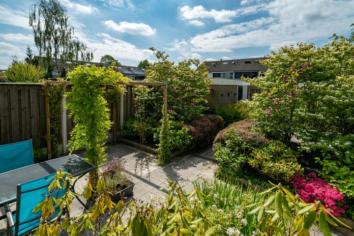 Foto 5 van Jan Jelles Hofleane 99