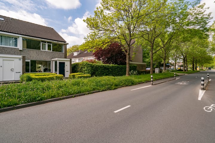 Foto 8 van Jan Jelles Hofleane 99