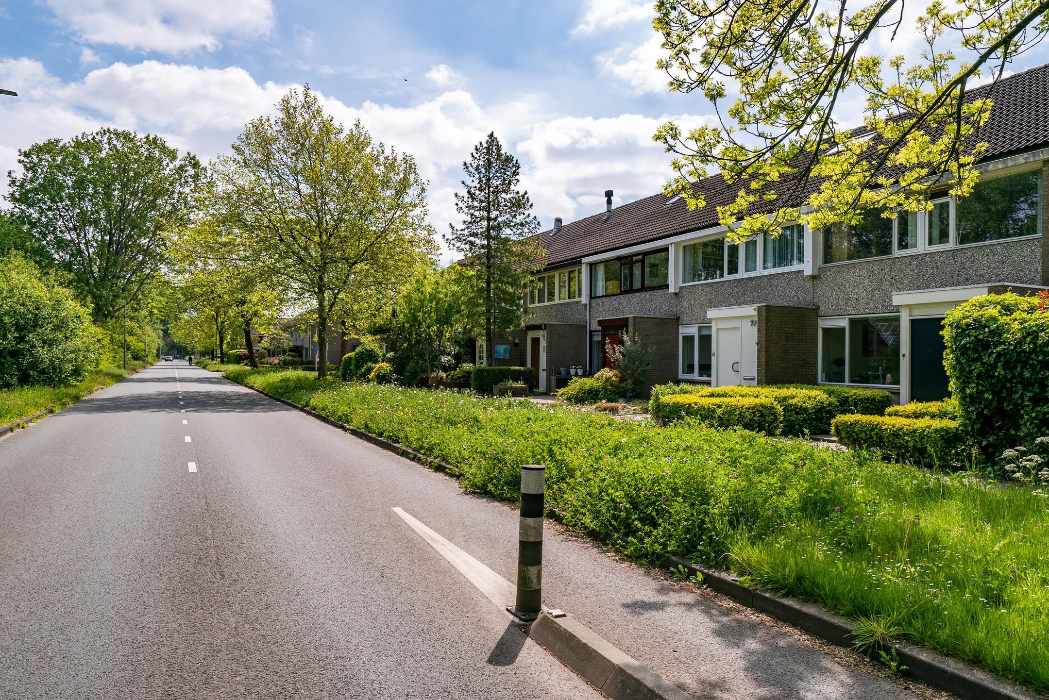 Foto 9 van Jan Jelles Hofleane 99