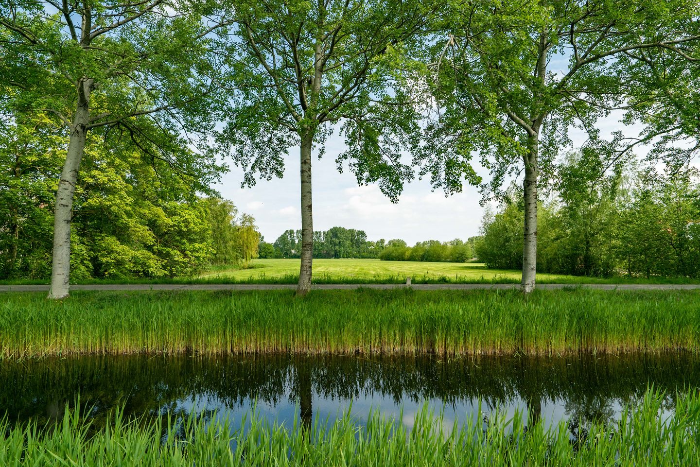 Foto 10 van Jan Jelles Hofleane 99