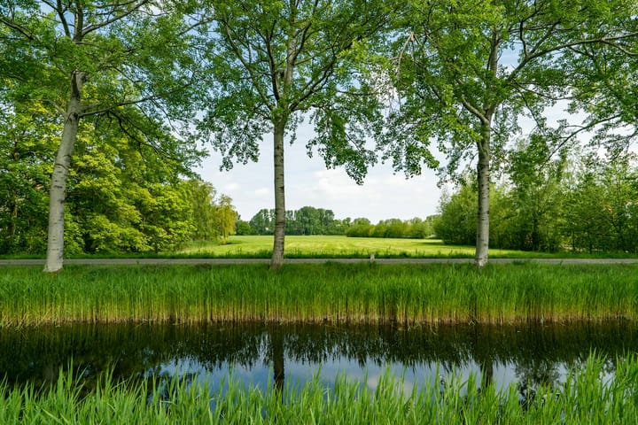 Foto 10 van Jan Jelles Hofleane 99