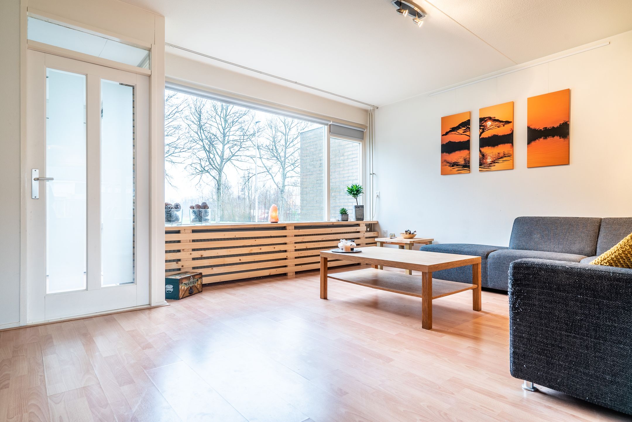 Foto 15 van Jan Jelles Hofleane 99