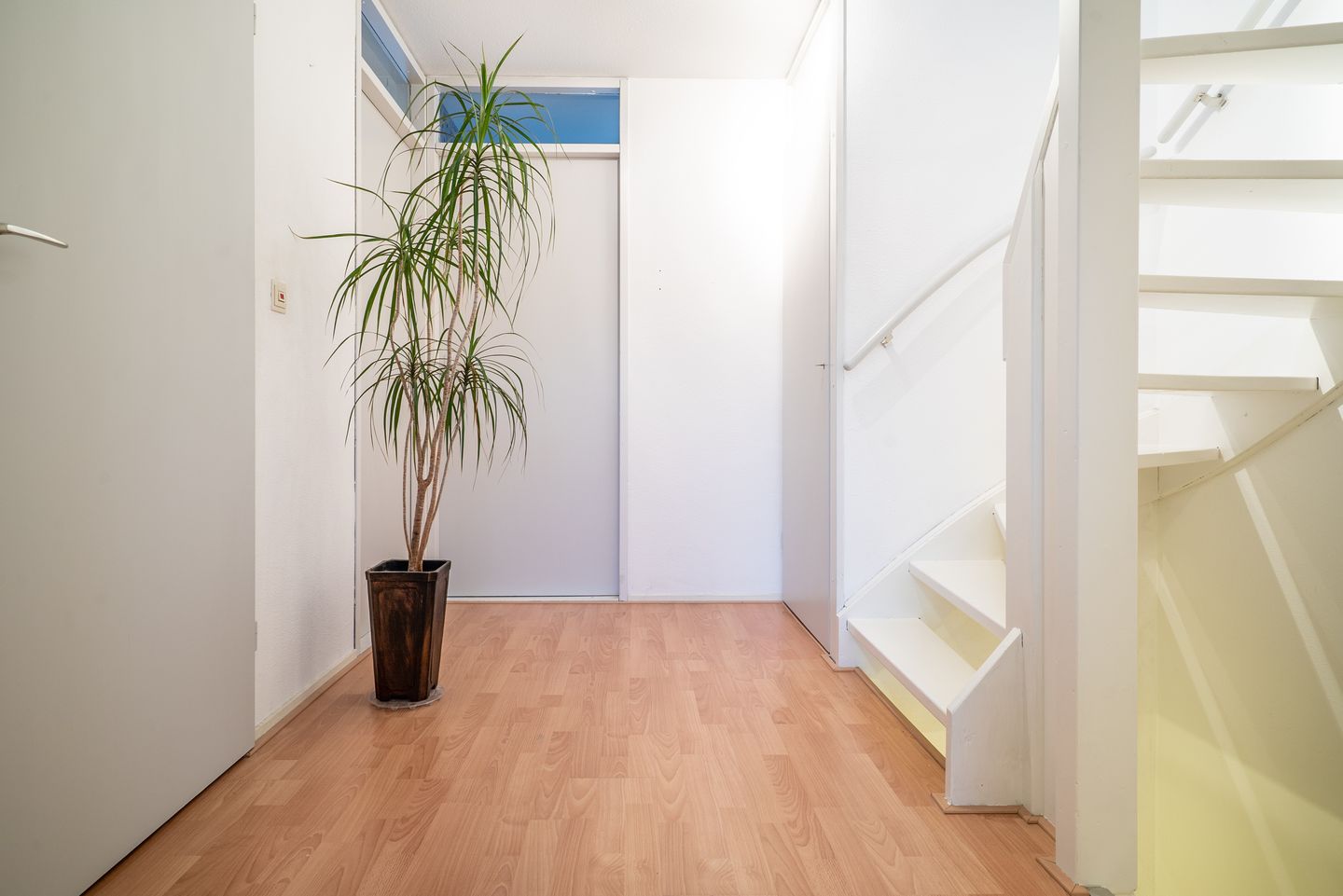 Foto 44 van Jan Jelles Hofleane 99