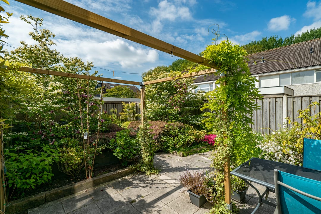 Foto 47 van Jan Jelles Hofleane 99