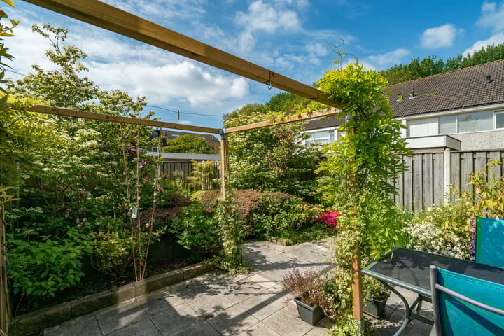 Foto 47 van Jan Jelles Hofleane 99