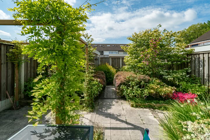 Foto 48 van Jan Jelles Hofleane 99