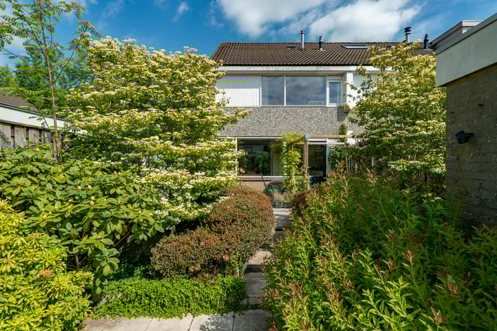 Foto 51 van Jan Jelles Hofleane 99