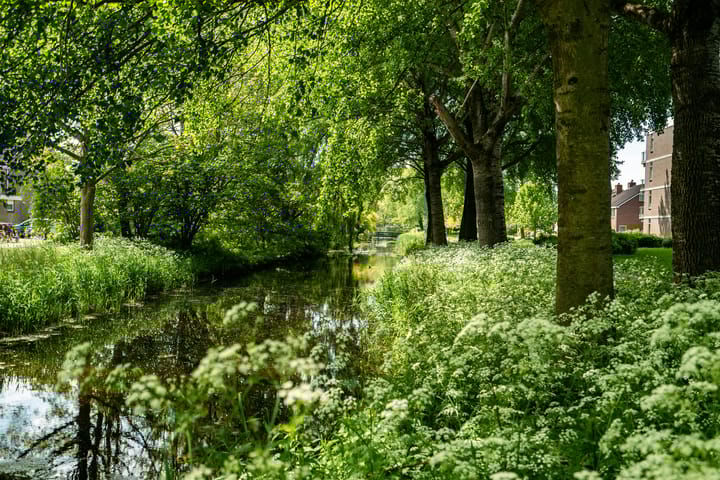 Foto 54 van Jan Jelles Hofleane 99