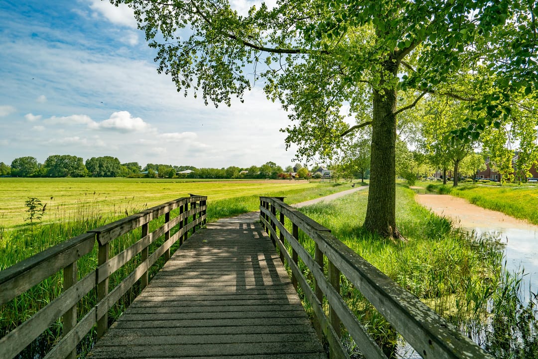 Foto 56 van Jan Jelles Hofleane 99