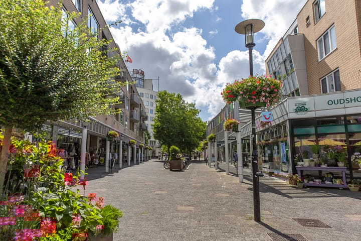 Photo 68 of Aziëring 14