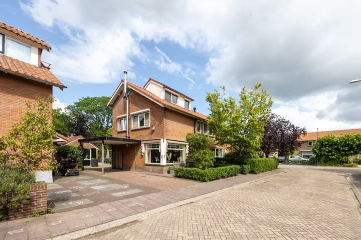 Foto 41 van Koningin Wilhelminalaan 21