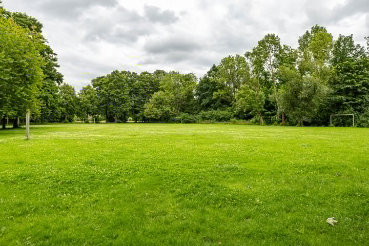 Foto 40 van Jaltadaheerd 61