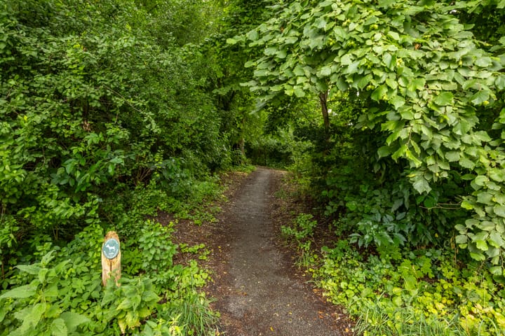 Foto 39 van Jaltadaheerd 61