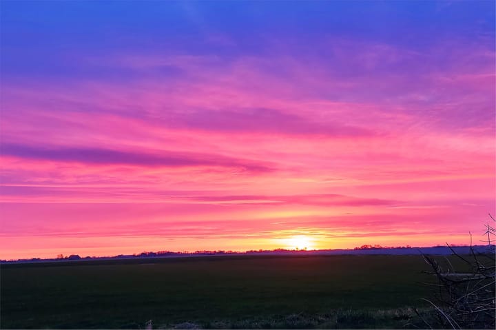 Foto 2 van Hogedijk 8