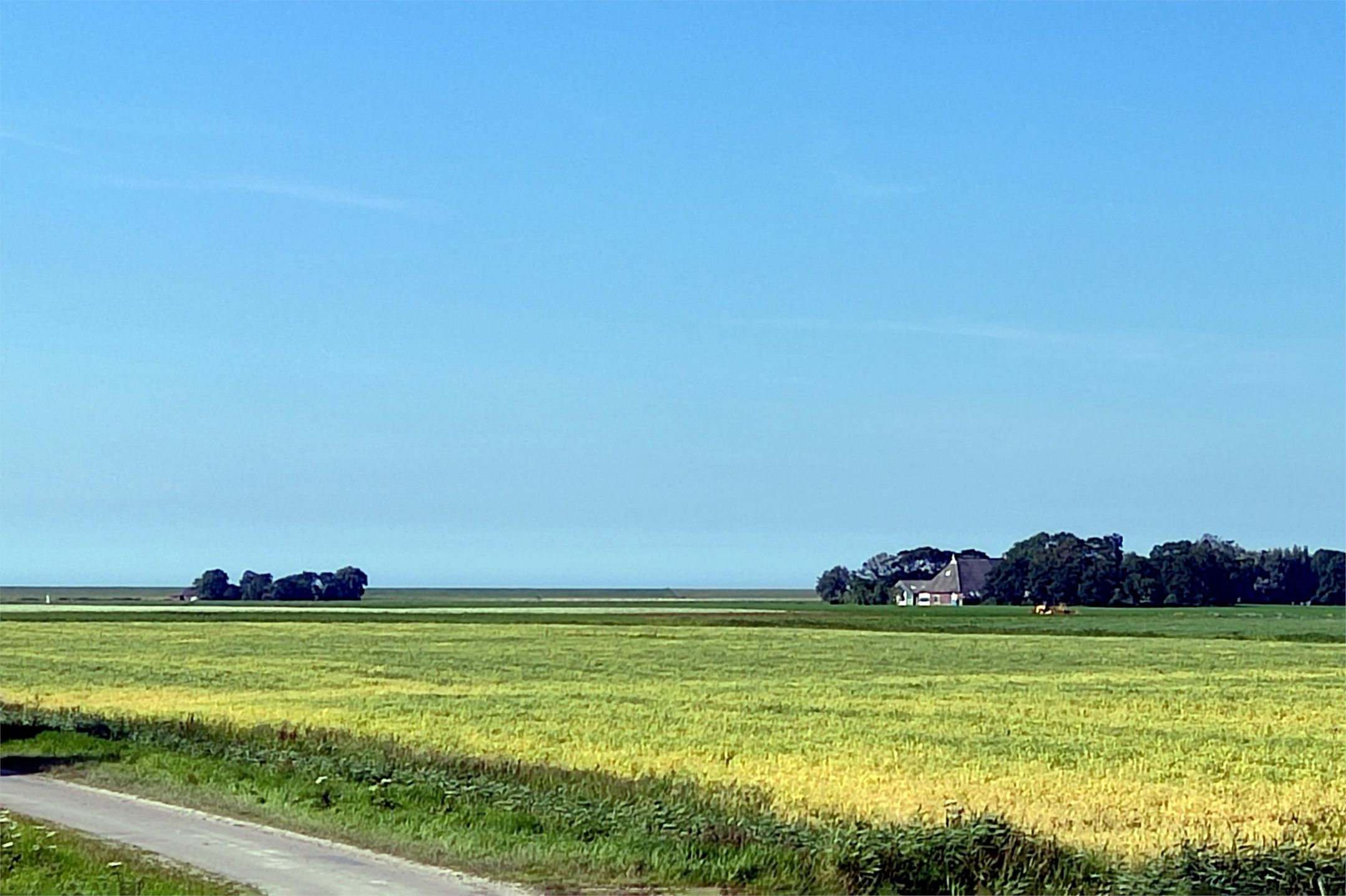 Foto 6 van Hogedijk 8