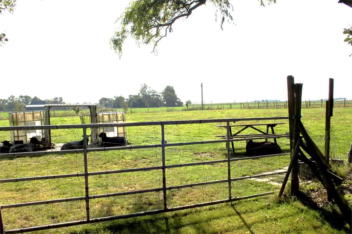 Foto 30 van Hogedijk 8