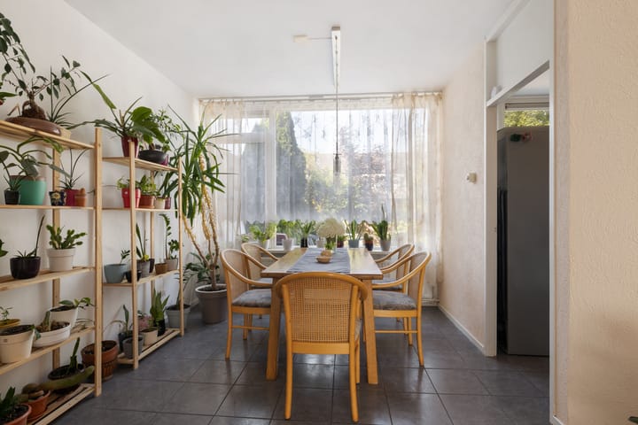 Foto 5 van Mollegang 84