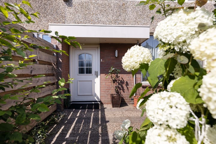 Foto 32 van Mollegang 84