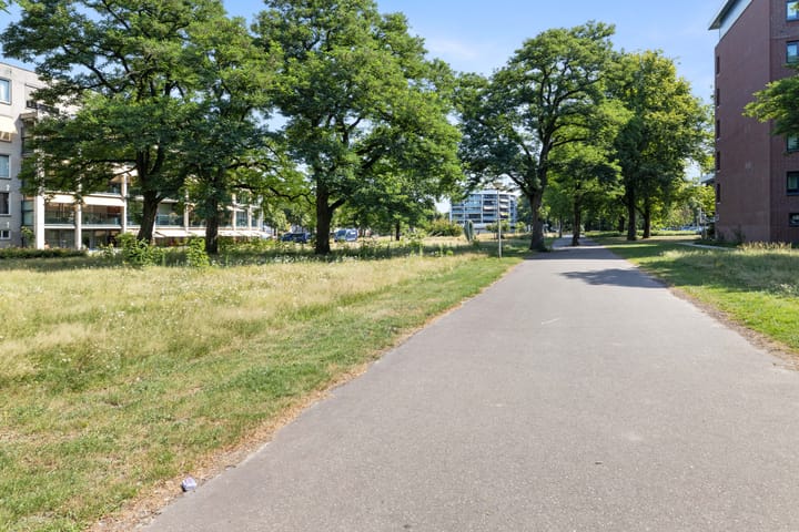 Foto 38 van Mollegang 84