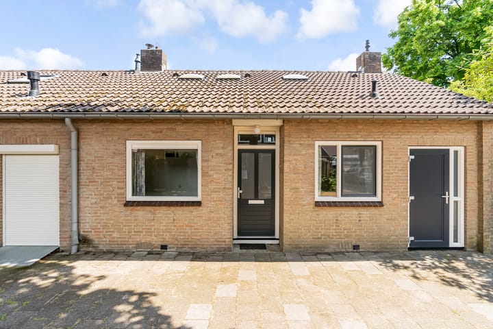 undefined main image