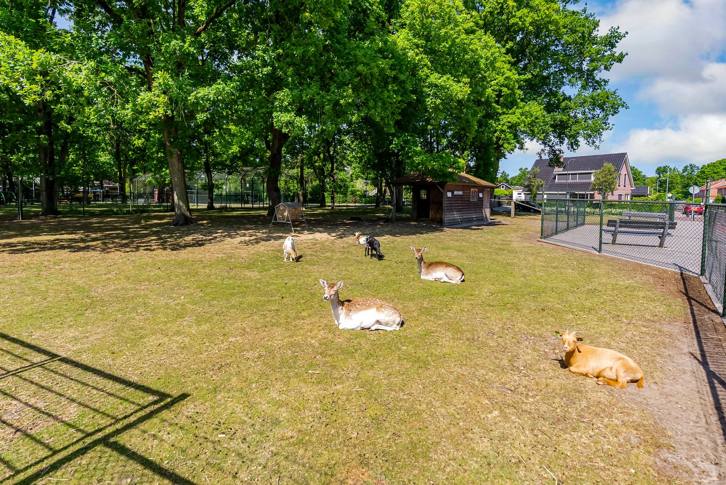 Foto 34 van Lavastraat 44