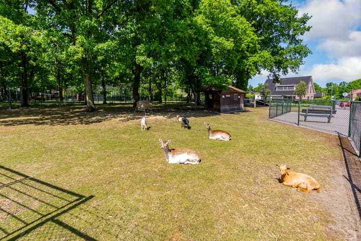 Foto 34 van Lavastraat 44