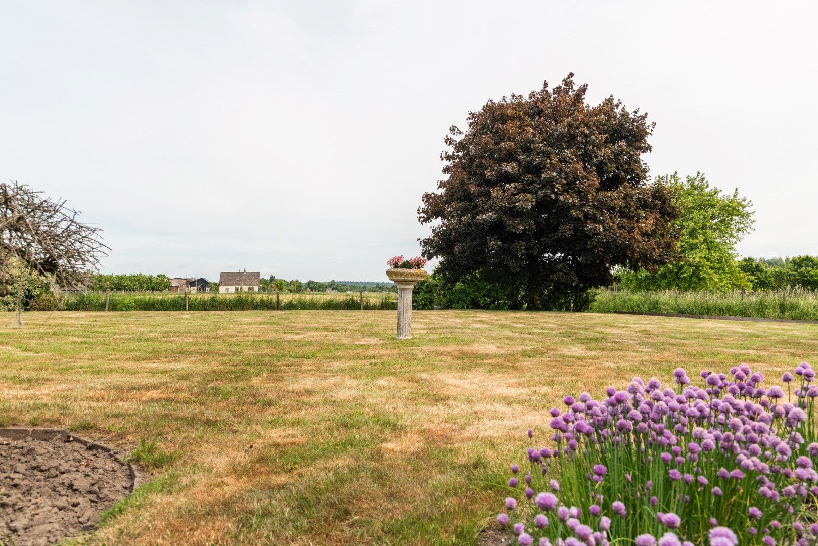 Foto 75 van Hogebrinksestraat 2