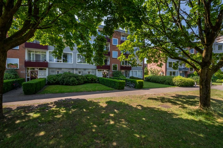 Foto 2 van Moeflonstraat 95