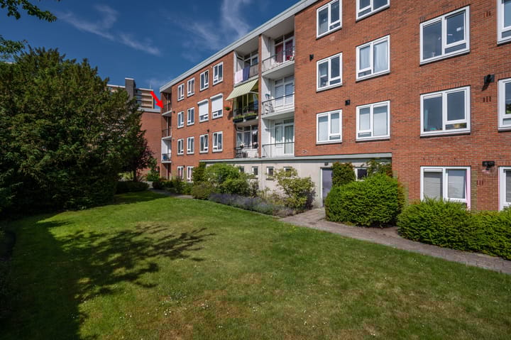 Foto 21 van Moeflonstraat 95