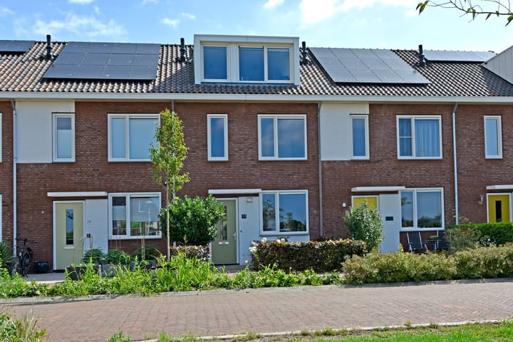 undefined main image