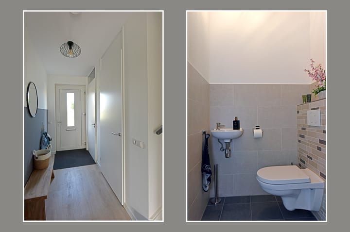 Foto 11 van Meerkoet 31