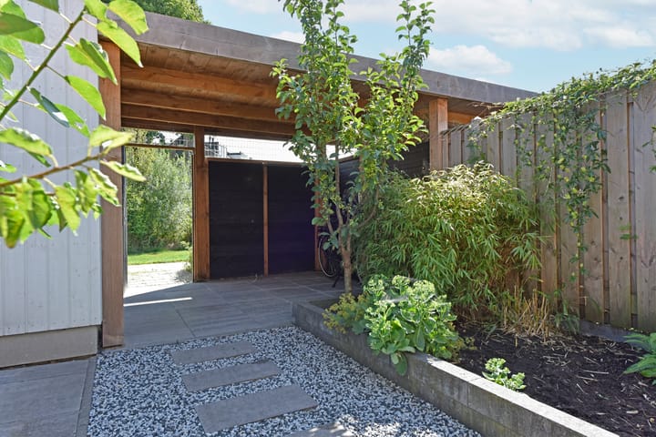 Foto 32 van Meerkoet 31