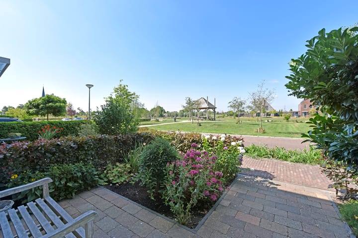 Foto 37 van Meerkoet 31