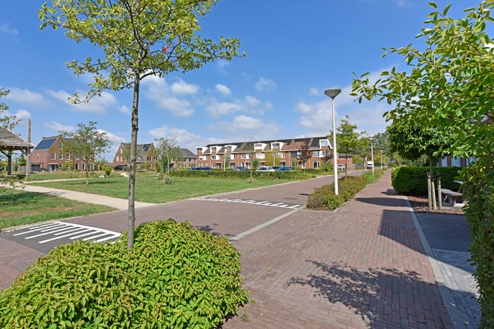 Foto 38 van Meerkoet 31