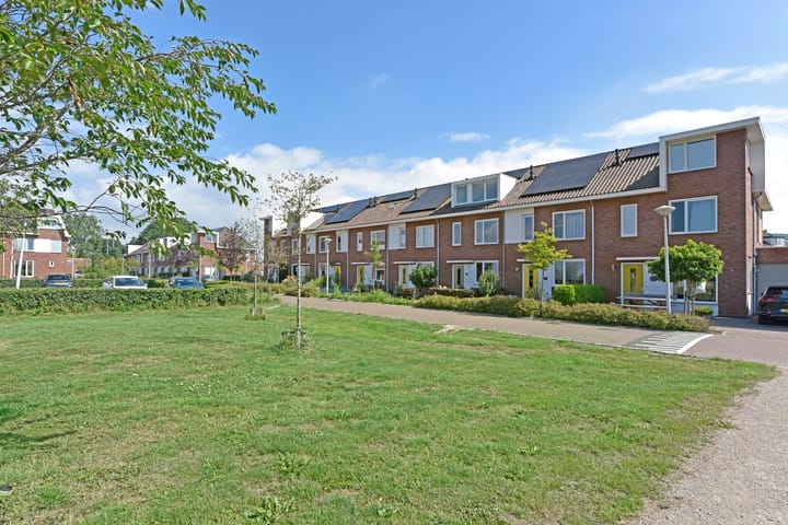 Foto 39 van Meerkoet 31