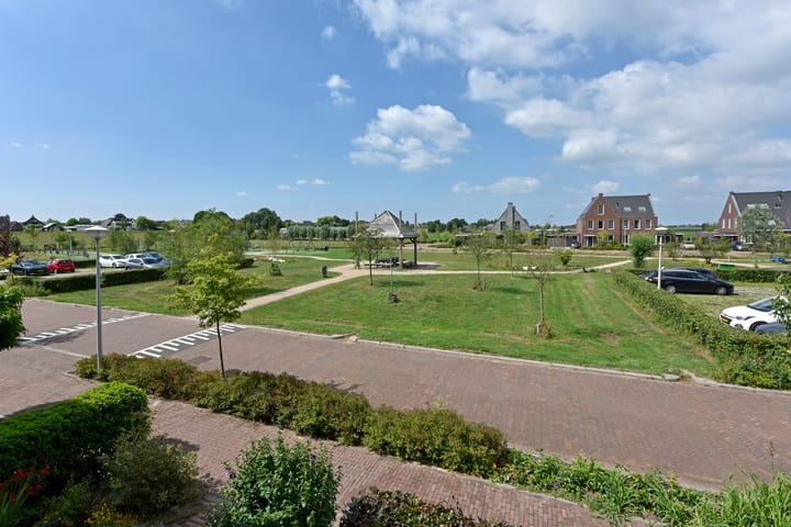 Foto 43 van Meerkoet 31