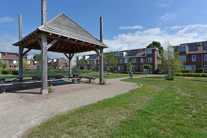 Foto 40 van Meerkoet 31