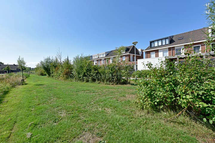 Foto 36 van Meerkoet 31