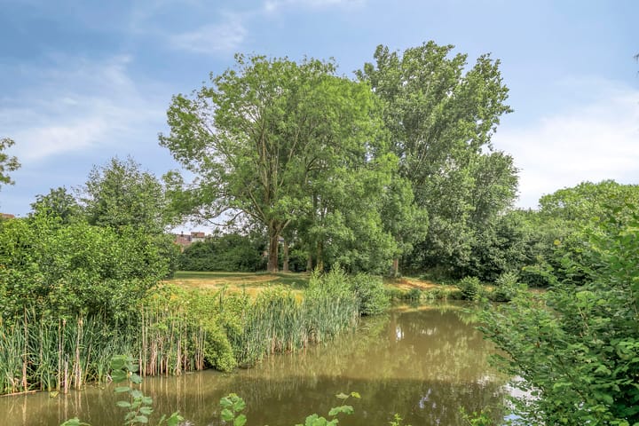 Foto 37 van Tolick 131