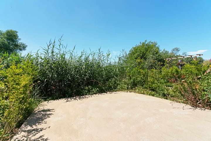 Foto 48 van De Whemedreef 98