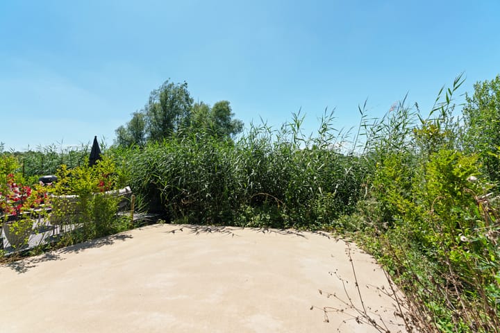 Foto 49 van De Whemedreef 98