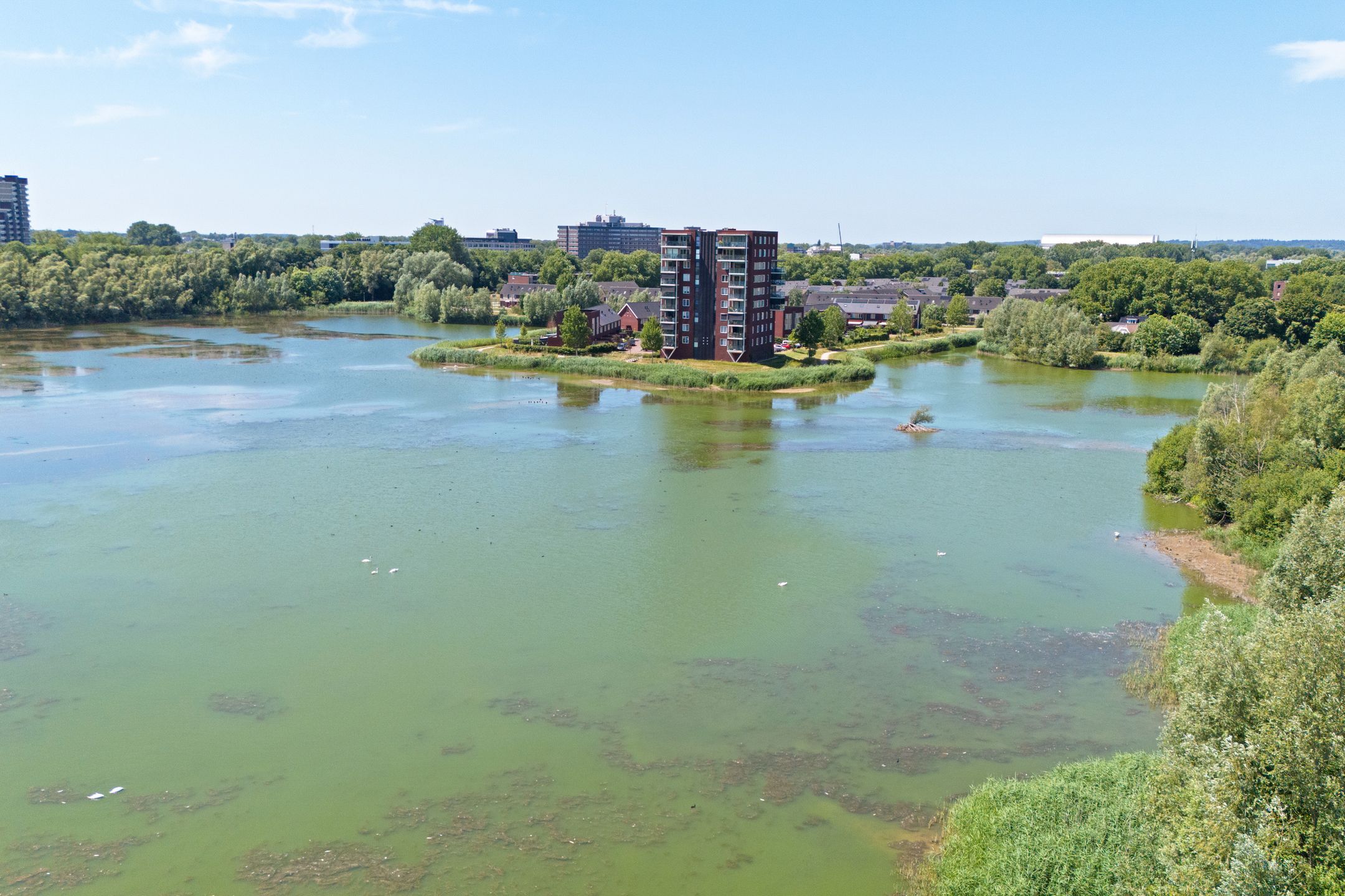 Foto 60 van De Whemedreef 98