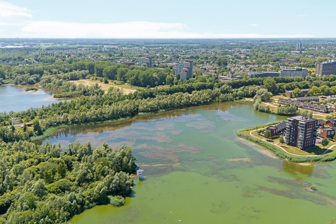 Foto 61 van De Whemedreef 98